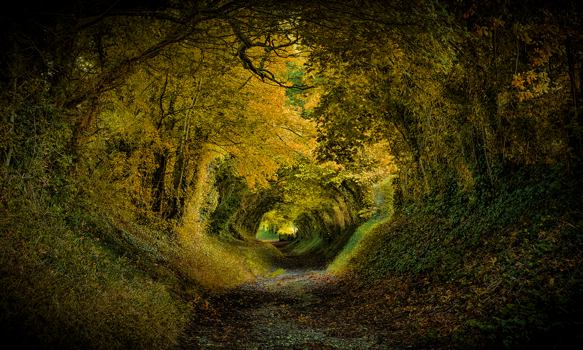 halnaker-tunnel-inglaterra-paul-benns.jpeg