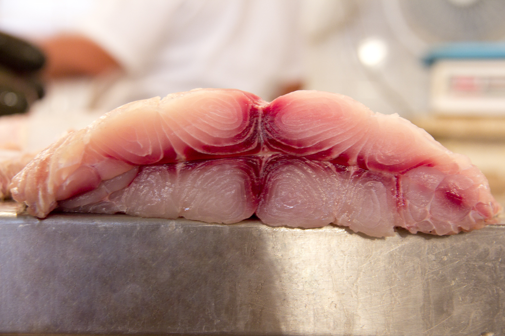 img-6636-peixe.jpg