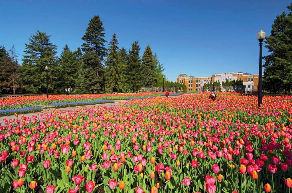 jardim-botanico.jpeg