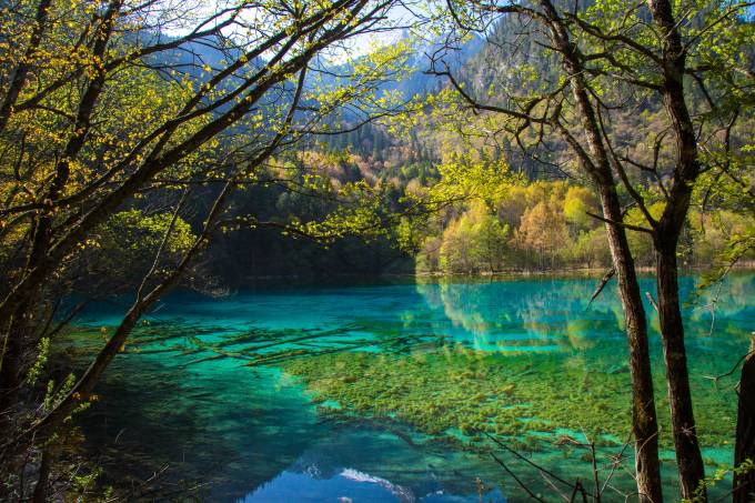 Lago das Cinco Flores, Parque Nacional Jiuzhaigou, província de Sichuan