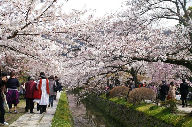 O Caminho do Filósofo, uma cênica alameda em um dos bairros mais tradicionais de <a href="https://viajeaqui.abril.com.br/cidades/japao-kyoto" rel="Kyoto" target="_blank">Kyoto</a> O Caminho do Filósofo, uma cênica alameda em um dos bairros mais tradicionais de <a href="https://viajeaqui.abril.com.br/cidades/japao-kyoto" rel="Kyoto" target="_blank">Kyoto</a>