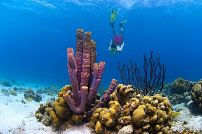 Mergulho em Curaçao, Caribe