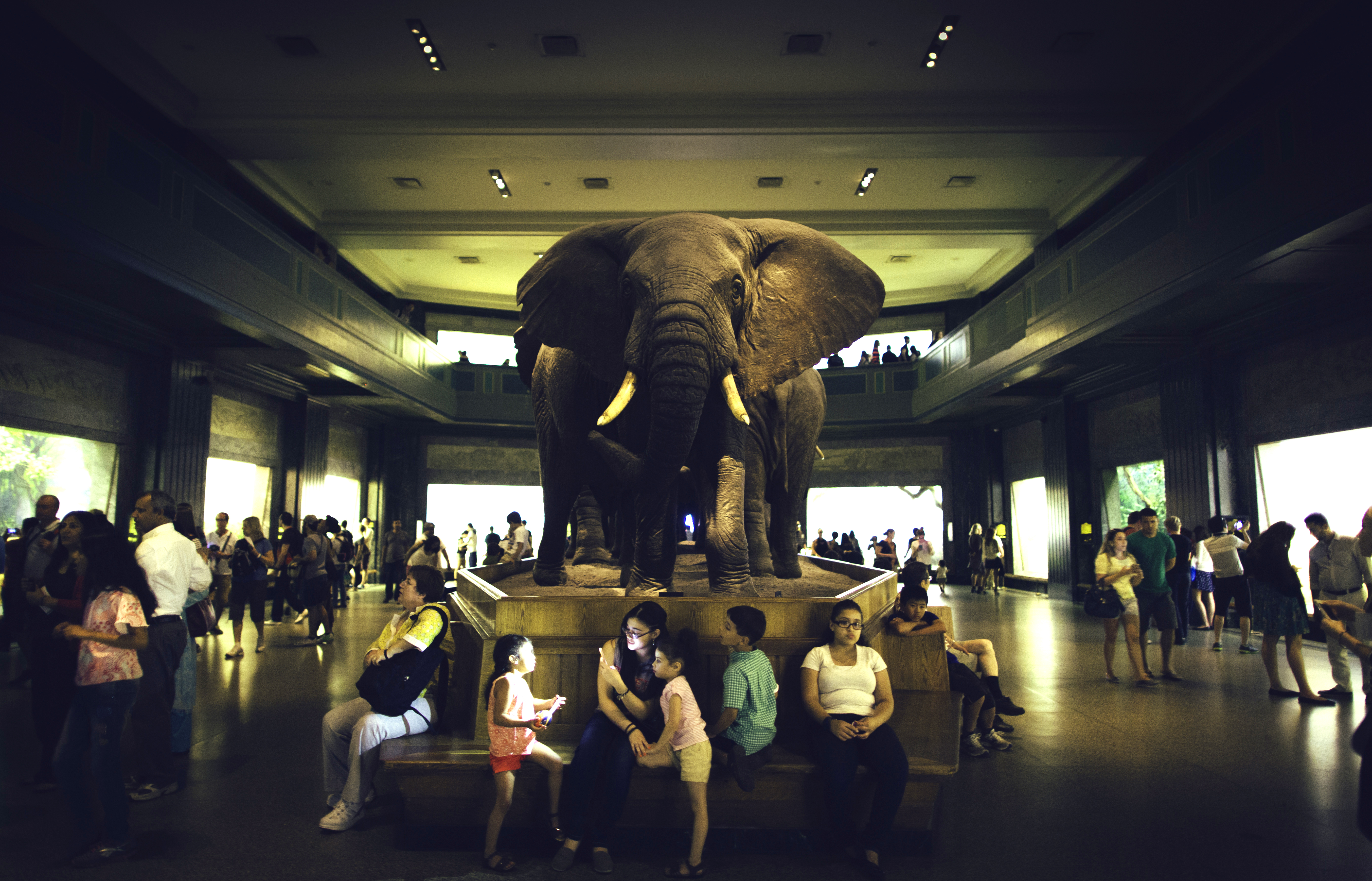 museu-de-historia-natural-nova-york-guian-bolisay-flickr-creative-commons.jpeg