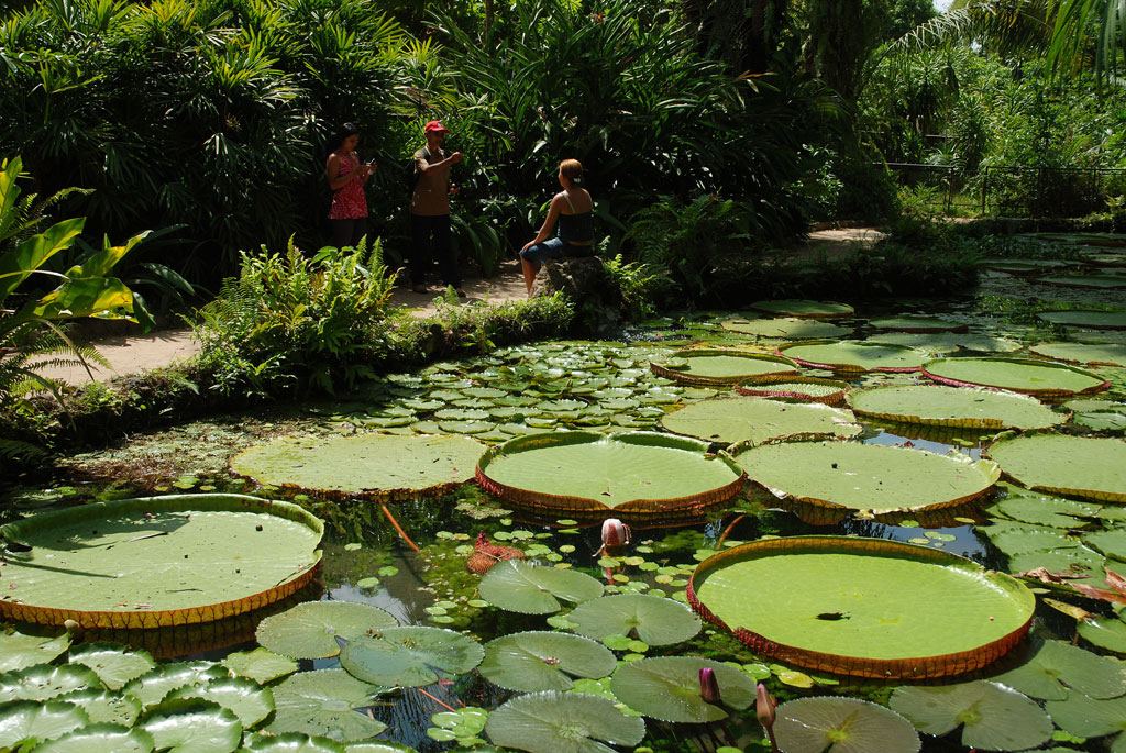 Parque Emílio Goeldi em Belém (PA) Parque Emílio Goeldi em Belém (PA)