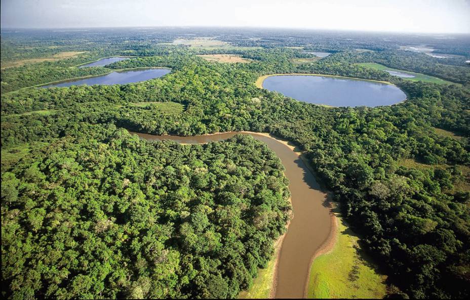 Maior planície alagável do mundo, o Pantanal tem 250 espécies de peixes, 80 de mamíferos, 50 de répteis e mais de 650 de aves Maior planície alagável do mundo, o Pantanal tem 250 espécies de peixes, 80 de mamíferos, 50 de répteis e mais de 650 de aves