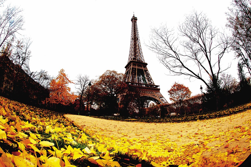 paris.jpg
