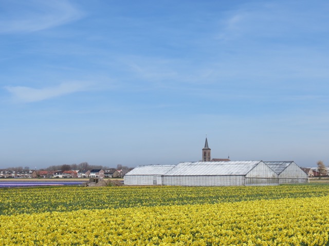 primavera_holanda-5