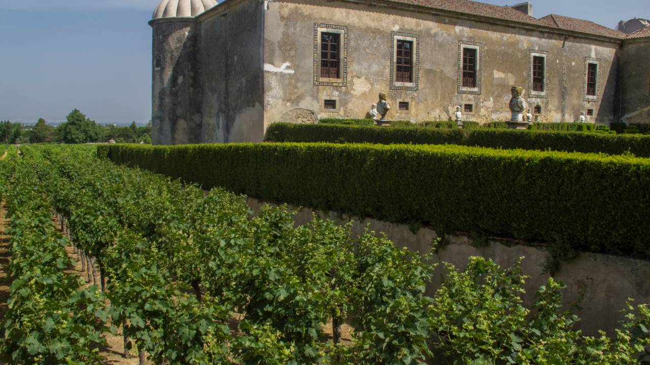 quinta da bacalhoa-3