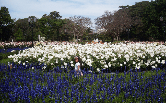 Buenos Aires, Rosedal