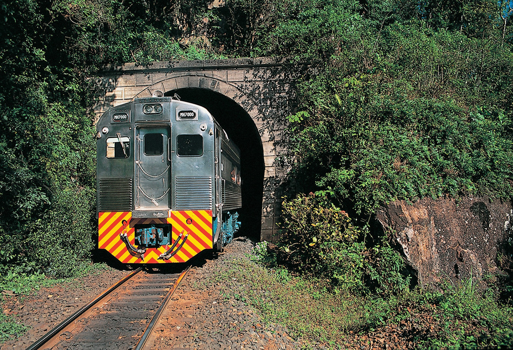 A fotografia colorida mostra um trem passando por um túnel.