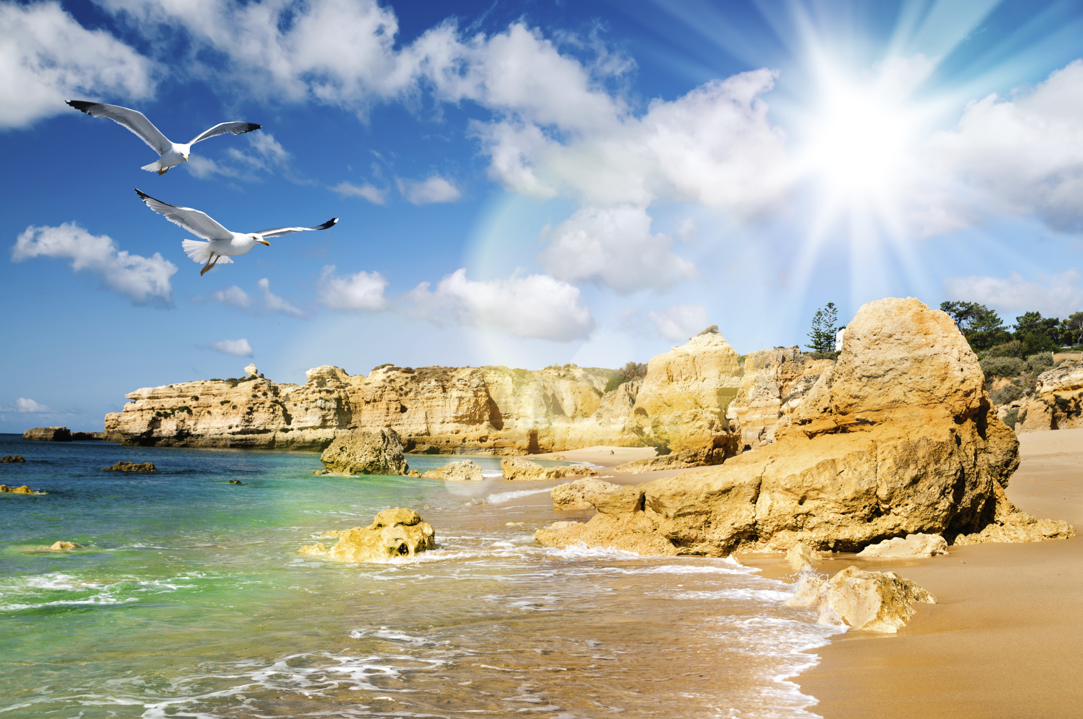 Faro - Portugal