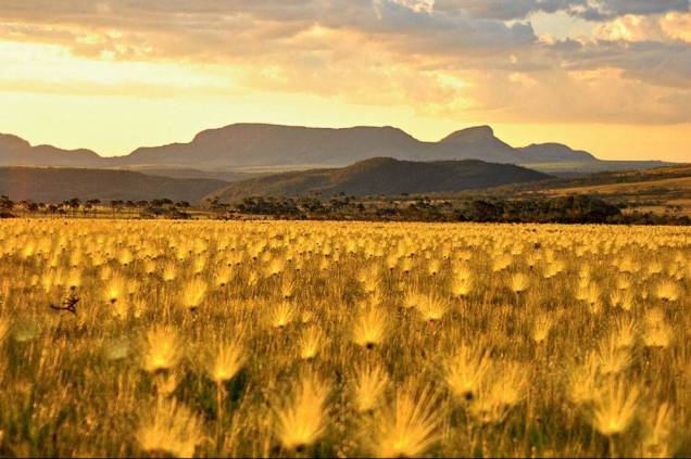 Chapada dos Veadeiros, em Goiás, foi declarada Patrimônio Mundial pela Unesco em 2001 Chapada dos Veadeiros, em Goiás, foi declarada Patrimônio Mundial pela Unesco em 2001