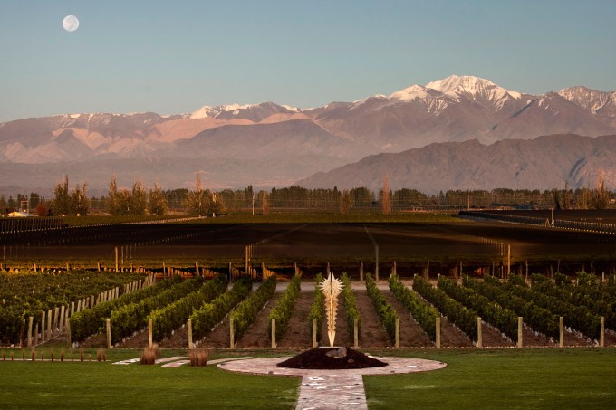 vineyards-2-gentileza-bodega-norton-mendoza-argentina-divulgacao.jpeg