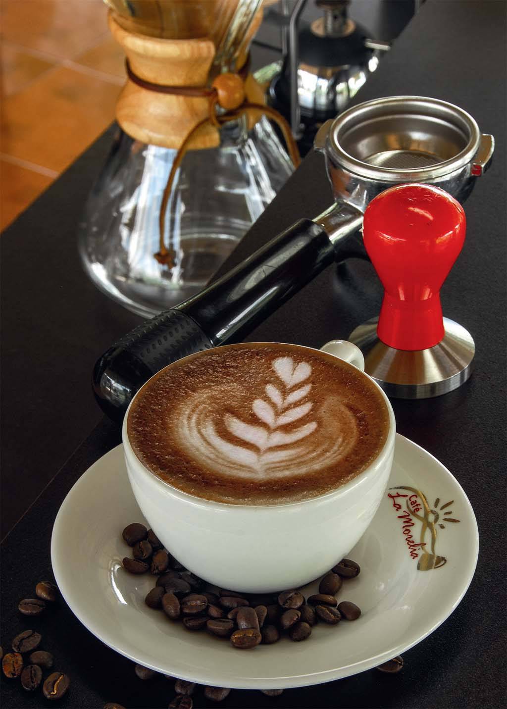 Fazendas como a La Morelia oferecem tour pela produ&ccedil;&atilde;o do caf&eacute;