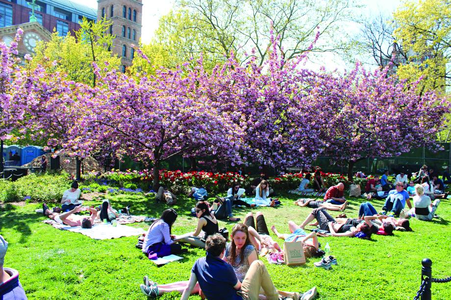 "A Washington Square é a cara da cidade, com estudantes almoçando pelos gramados, músicos, pintores, cachorros, crianças... além do arco de mármore que dá o charme da praça. Ande até a <a href="https://beta-develop.viagemeturismo.abril.com.br/atracao/bleecker-street/" target="_blank">Bleecker Street</a>, repleta de lojas e restaurantes. O lendário jazz club <a href="https://beta-develop.viagemeturismo.abril.com.br/restaurante/blue-note/" target="_blank">Blue Note</a> e o clube de humor <a href="https://www.comedycellar.com/" target="_blank">Comedy Cellar</a> estão ali do lado.”