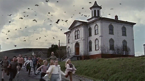 gif-filme-passaros gif-filme-passaros