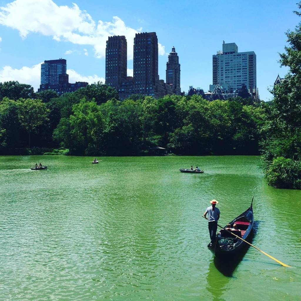 nyc_centralpark