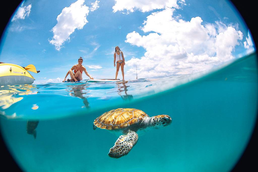 Praia de Peebles, Barbados, Caribe