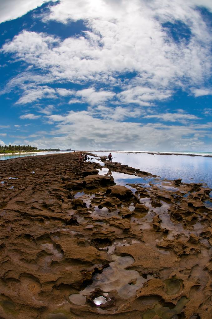 Recife na Praia Muro Alto, em Porto de Galinhas, Pernambuco