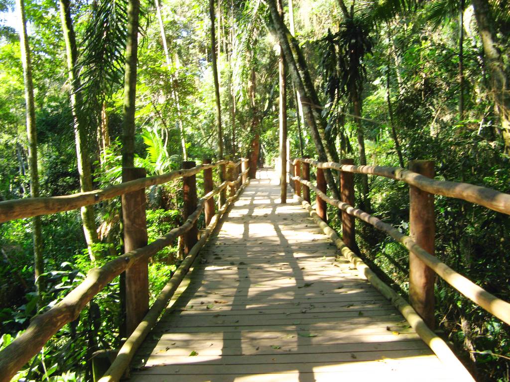 Trilha da Nascente do Rio Ipiranga no Jardim Botânico de São Paulo (SP)