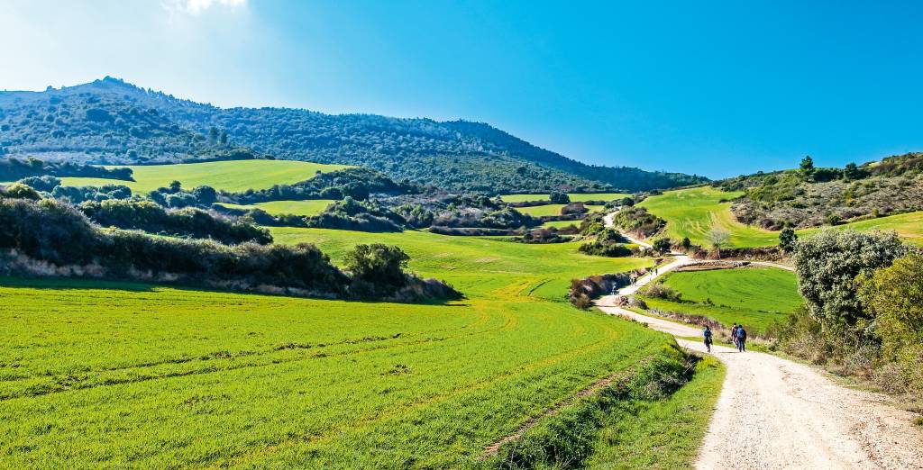 Você pode planejar, mas o seu Caminho de Santiago vai ser único