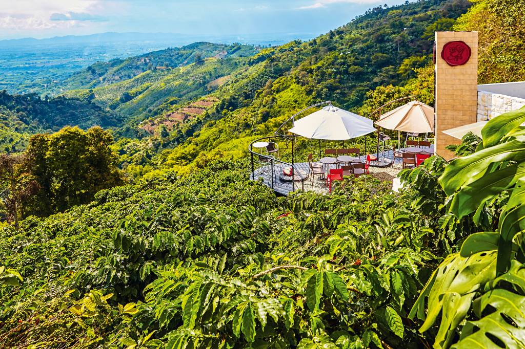 Circuito completo para conhecer o melhor do café colombiano