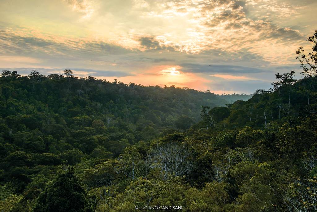 Como é o Parque Nacional do Pau-Brasil, em Porto Seguro