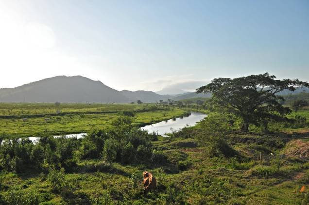 Tarde bucólica em Gaspar Tarde bucólica em Gaspar