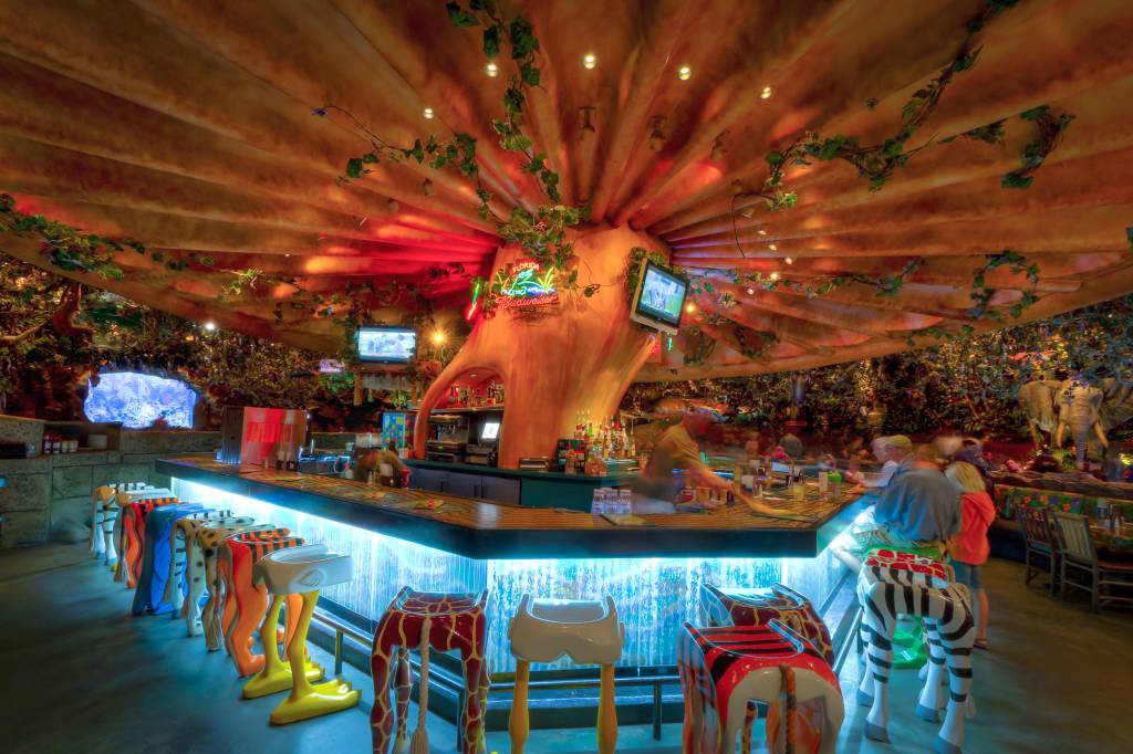 Animal Kingdom – Rainforest Cafe Bar