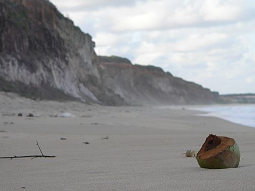 Baía da Traição – Praia Tambá
