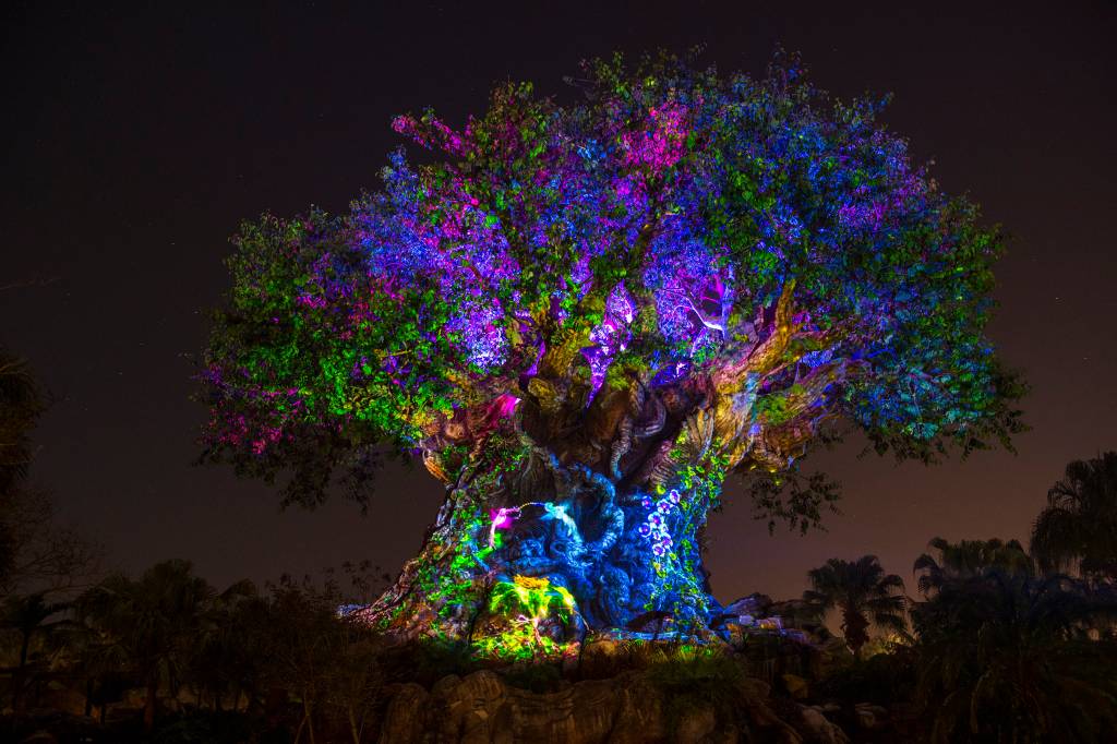 Animal Kingdom – pandora