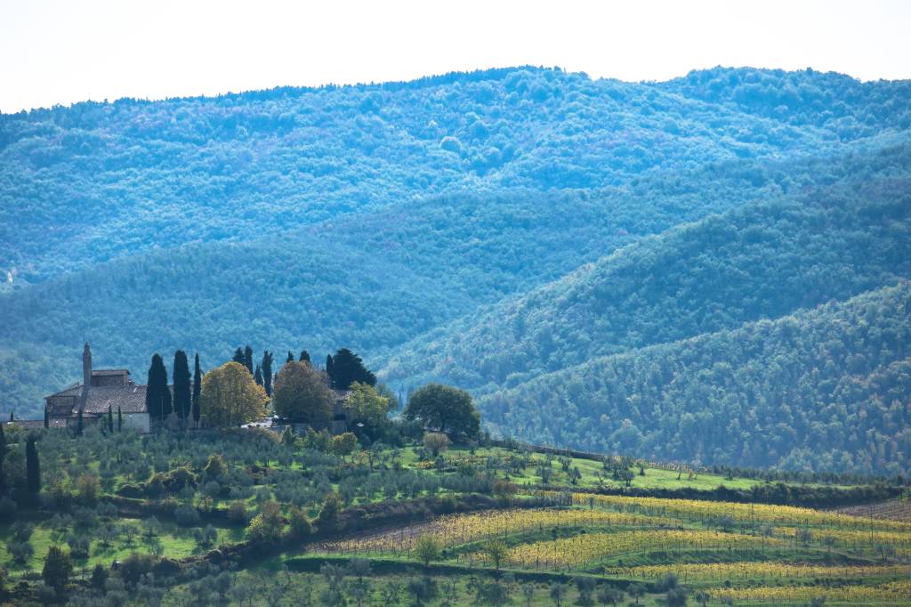 Panzano in Chianti, Chianti, Toscana, Itália