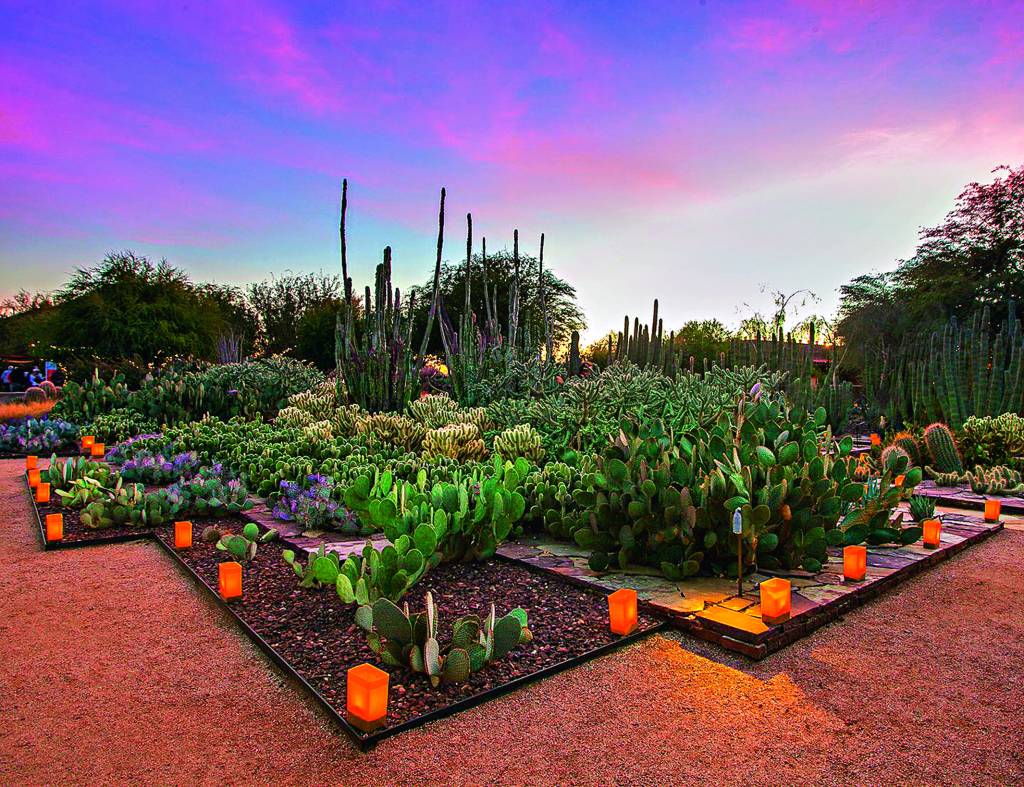Deserto Botanical Garden, Phoenix