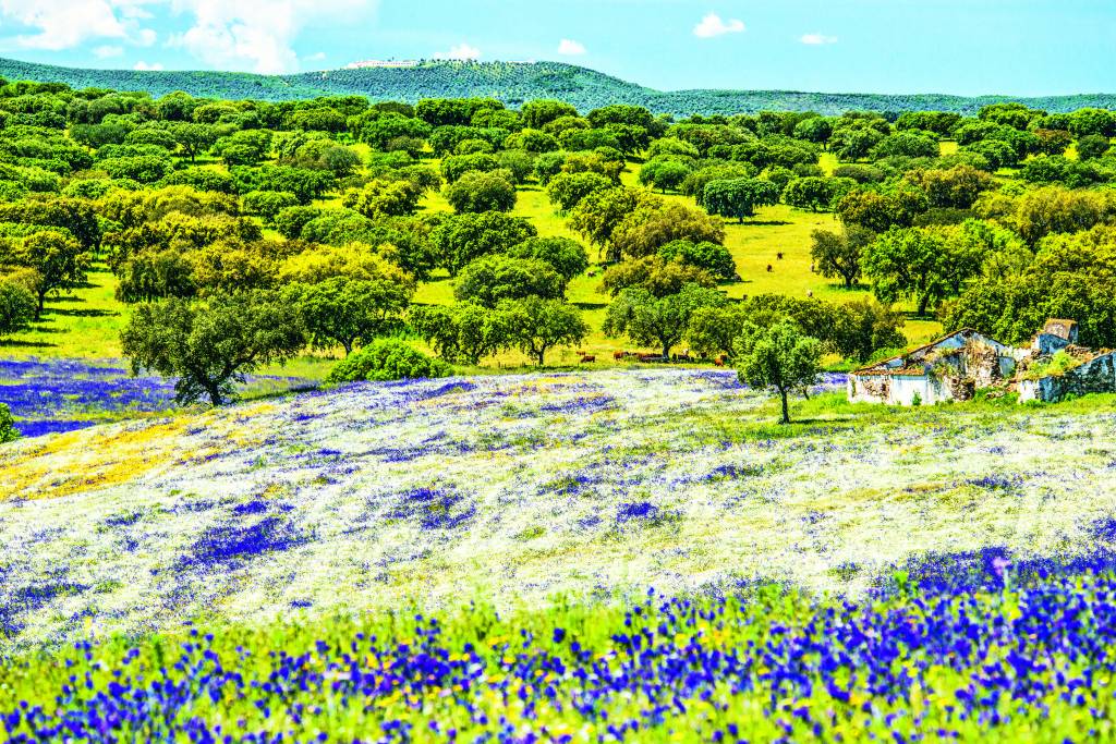 Alentejo, Portugal