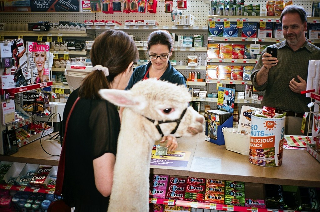 Alpaca em farmácia
