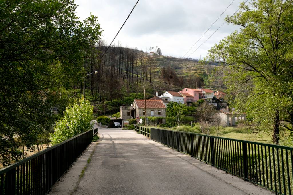 Os arredores do hotel: cenário bucólico