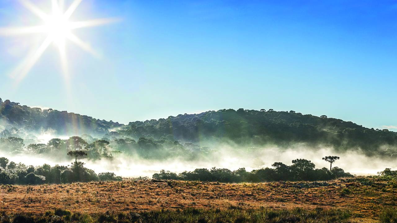 Dissipação da neblina durante manhã ensolarada na Serra Gaúcha