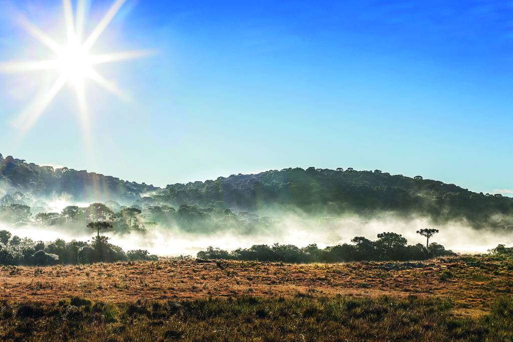 Dissipação da neblina durante manhã ensolarada na Serra Gaúcha
