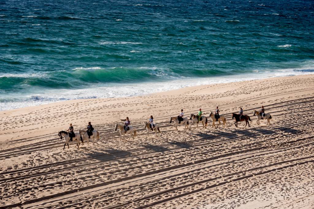 Cavalgada na praia ao pôr do sol: fim de tarde especial