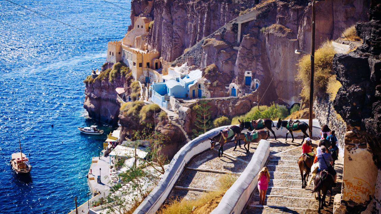 Burros e mulas são importantes meios de transporte em Santorini, mas abusos vêm sendo cometidos