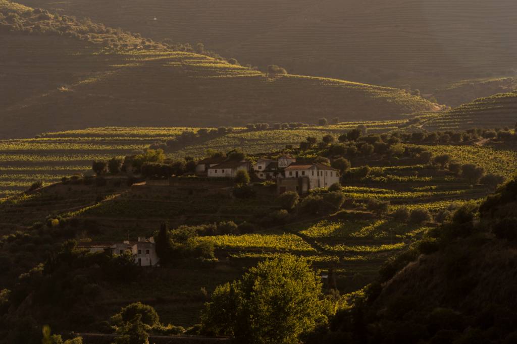 Vale do Rio Douro, Portugal Vale do Rio Douro, Portugal