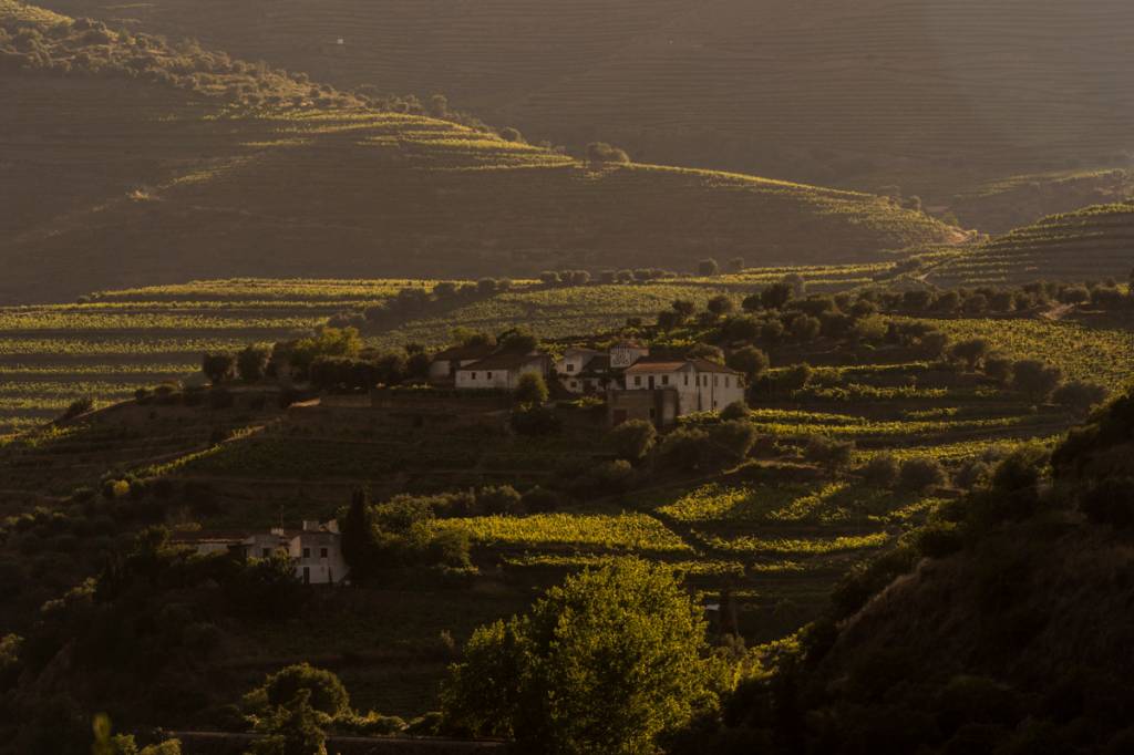 Vale do Rio Douro, Portugal