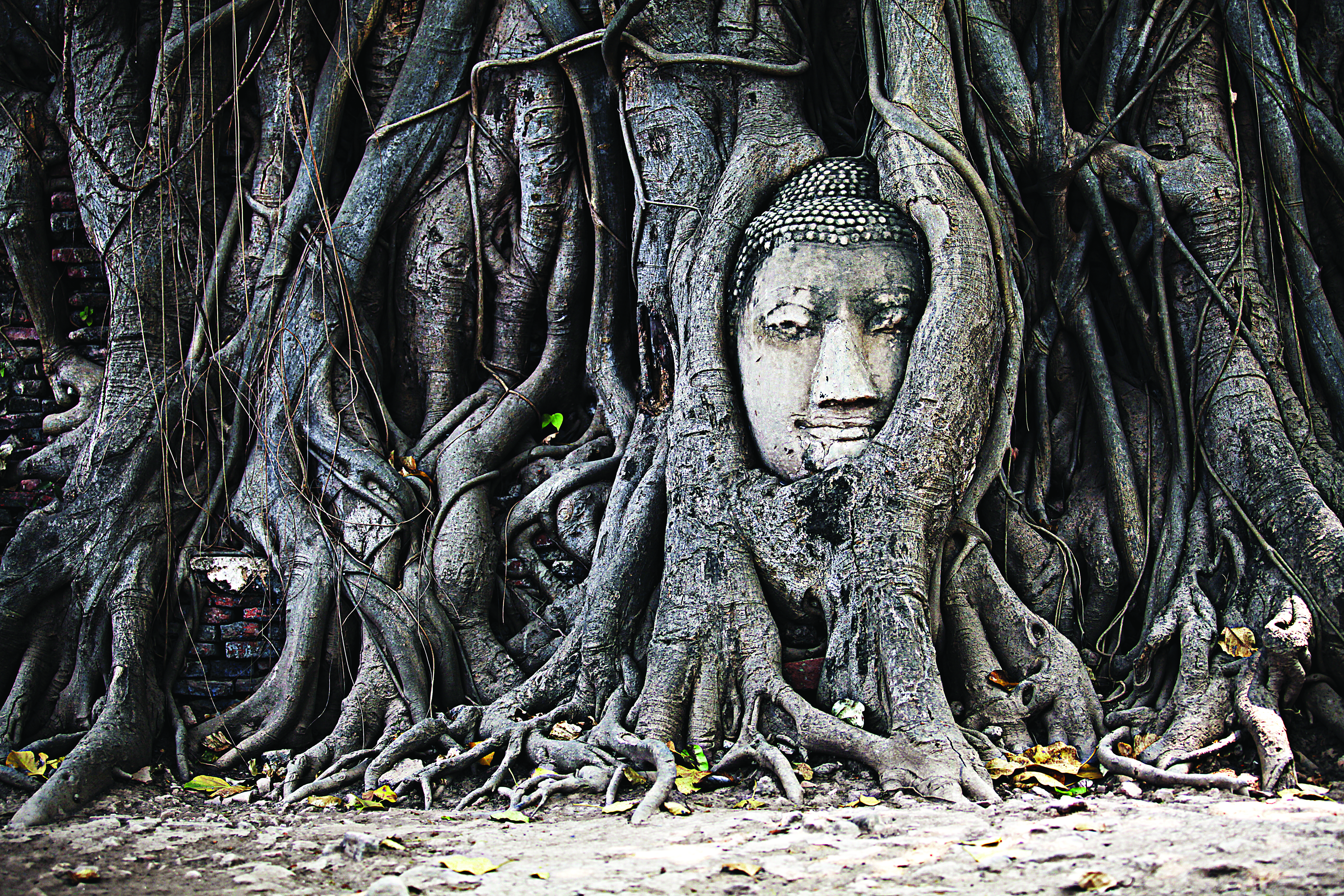 Templo em Ayutthaya, Tailândia