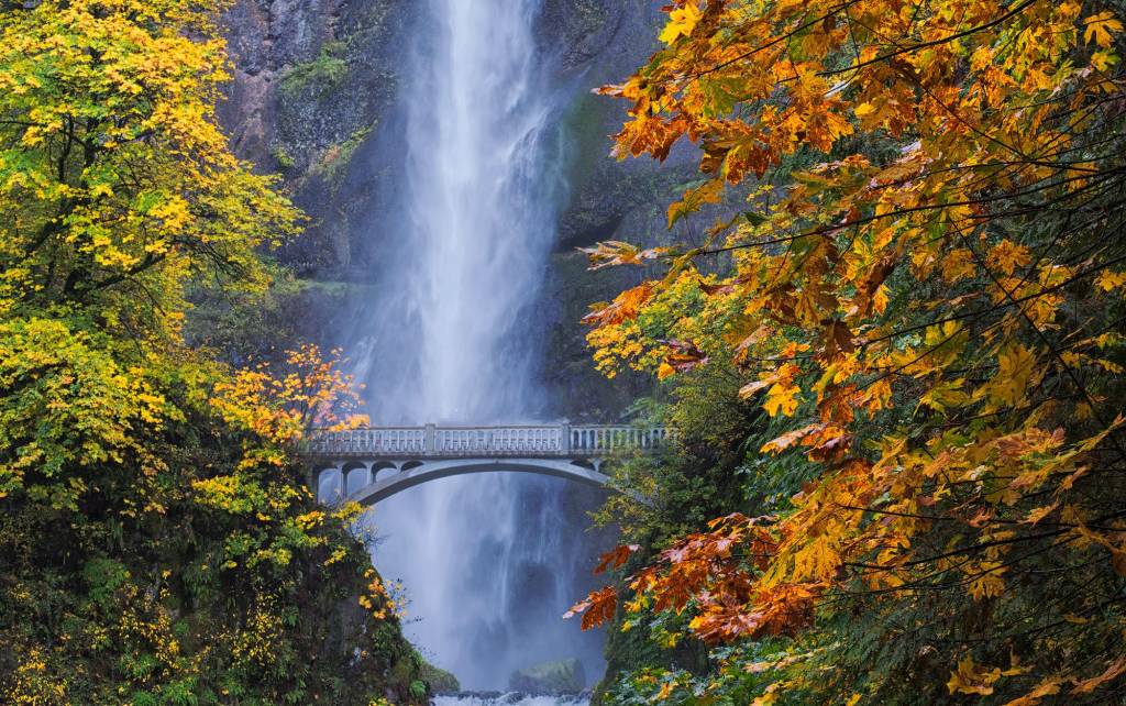 Columbia river Gorge, em Oregon, no outono. Crédito: