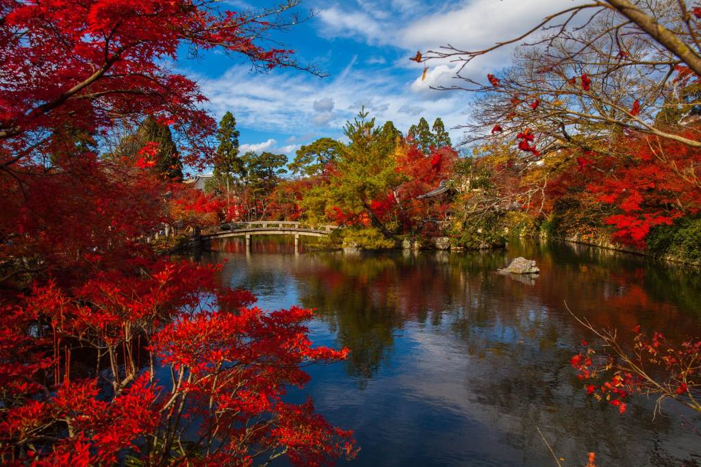 Outono em Kyoto, Japão A imagem mostra um parque onde há um lago e árvores de maple com folhas extremamente vermelhas