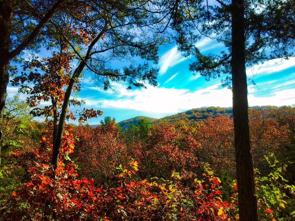 Ozark National Forest, Arkansas, Estados Unidos Ozark National Forest, Arkansas, Estados Unidos
