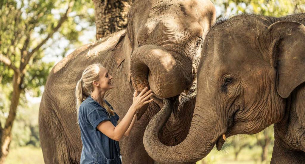 Anantara Gold Triangle Elephant Camp, Tailândia Anantara Gold Triangle Elephant Camp