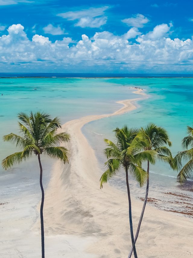 Capa de: 7 praias perfeitas para conhecer em Maragogi
