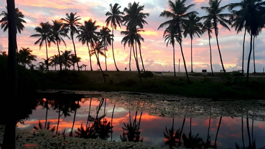 Nascer do sol no Costa do Sauípe Nascer do sol no Costa do Sauípe