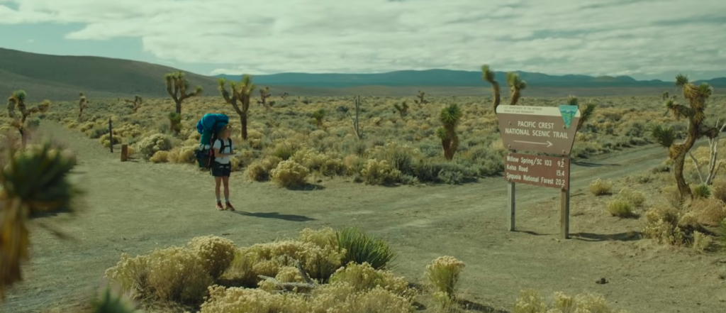 Filme – Wild Filme - Wild